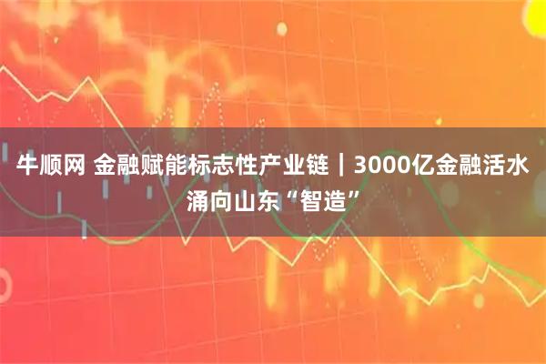 牛顺网 金融赋能标志性产业链|3000亿金融活水涌向山东“智造”