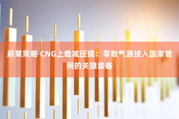 蔚莱策略 CNG上载减压撬：零散气源接入国家管网的关键装备